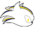 NorthlandBride