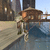 dragonrider65